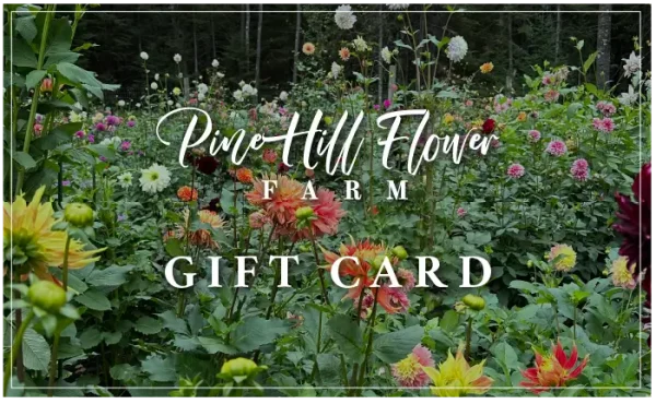 photo of a PineHill Farm digital gift card